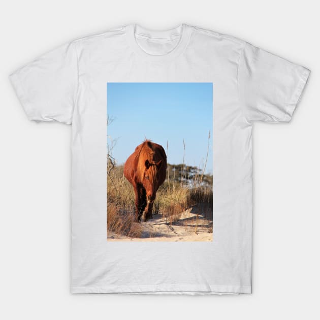 Assateague Beach Ponies - Series - 06 T-Shirt by searchlight